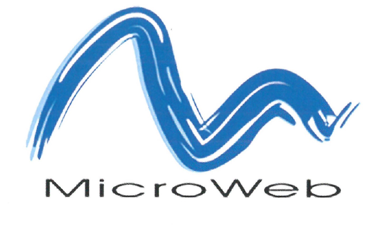 MicroWeb Limited